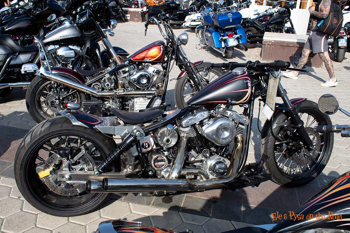 European HOG Rally 2025 Croazia