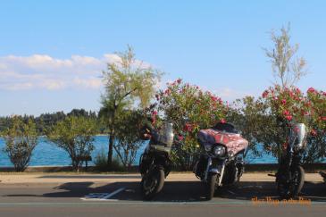 images/portorose-2022/12_portorose_hd_pysaeleontheroad.jpg