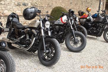 images/sporty-meeting-2024/10_sporty_meeting_2024_pe.jpg